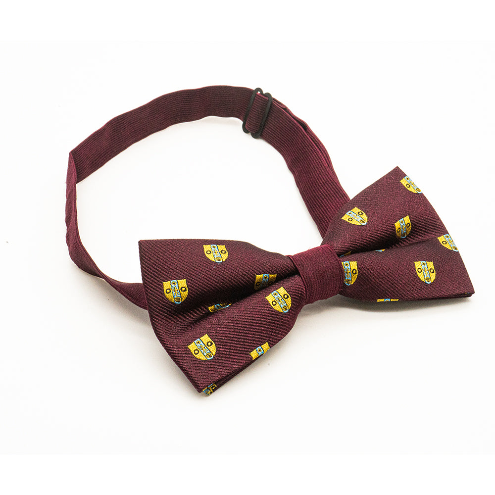 Bow tie (ready-made) - ICE Fellow